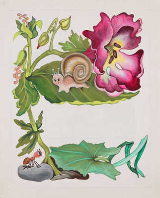 Неизвестный художник. Макет книги В. В. Бианки "Как муравьишка домой спешил"